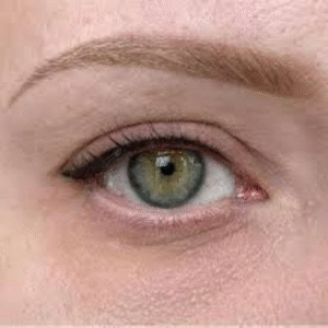 Availbility LashDash (20)